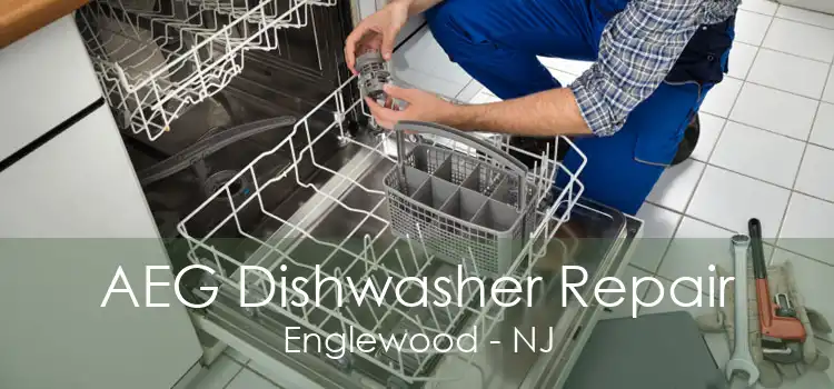 AEG Dishwasher Repair Englewood - NJ