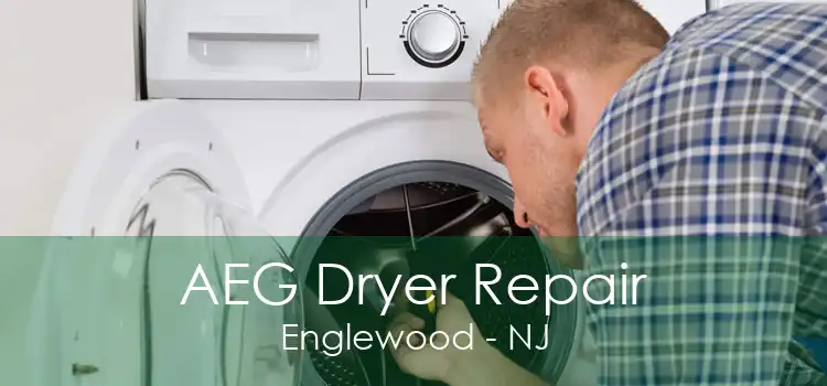 AEG Dryer Repair Englewood - NJ