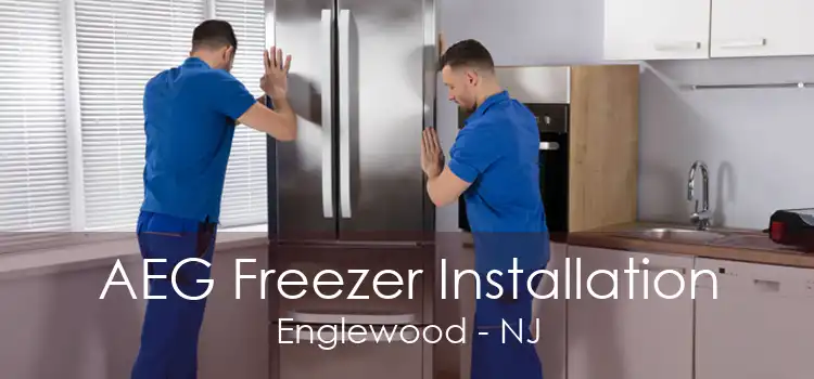 AEG Freezer Installation Englewood - NJ