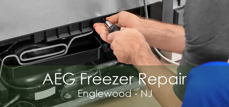 AEG Freezer Repair Englewood - NJ