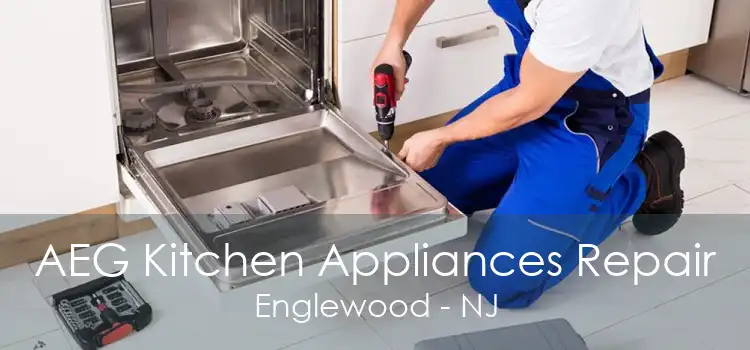 AEG Kitchen Appliances Repair Englewood - NJ