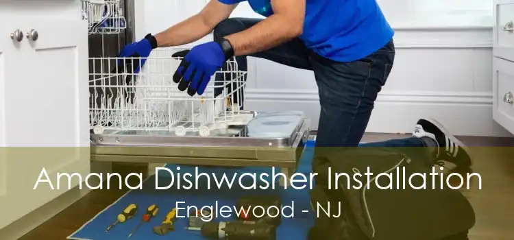 Amana Dishwasher Installation Englewood - NJ