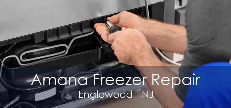 Amana Freezer Repair Englewood - NJ