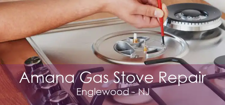 Amana Gas Stove Repair Englewood - NJ