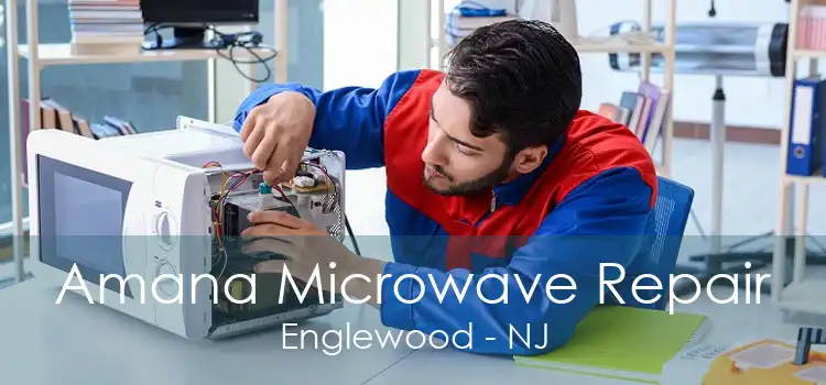 Amana Microwave Repair Englewood - NJ