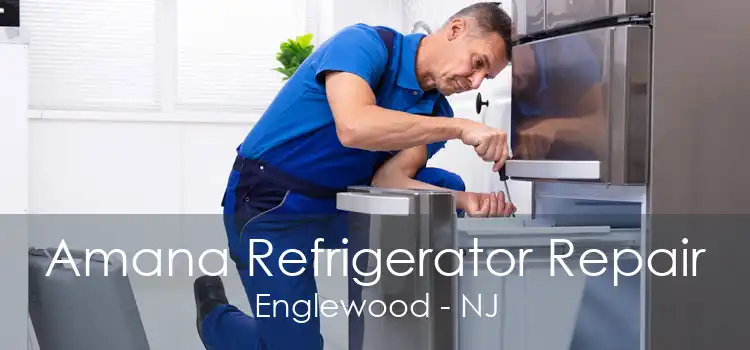 Amana Refrigerator Repair Englewood - NJ