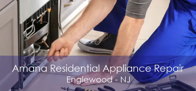 Amana Residential Appliance Repair Englewood - NJ