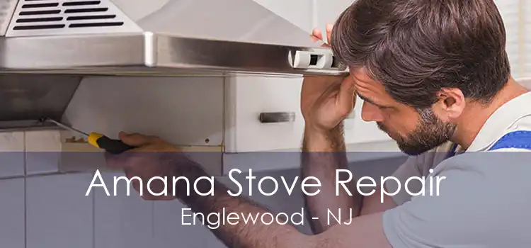 Amana Stove Repair Englewood - NJ