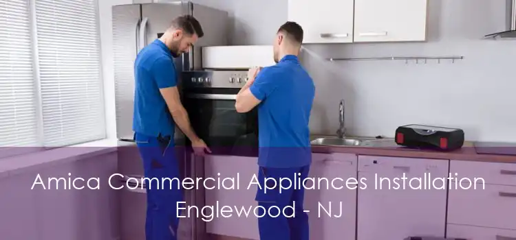 Amica Commercial Appliances Installation Englewood - NJ