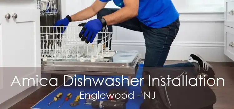 Amica Dishwasher Installation Englewood - NJ