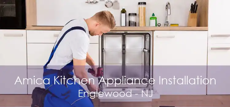 Amica Kitchen Appliance Installation Englewood - NJ