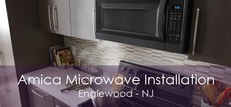 Amica Microwave Installation Englewood - NJ