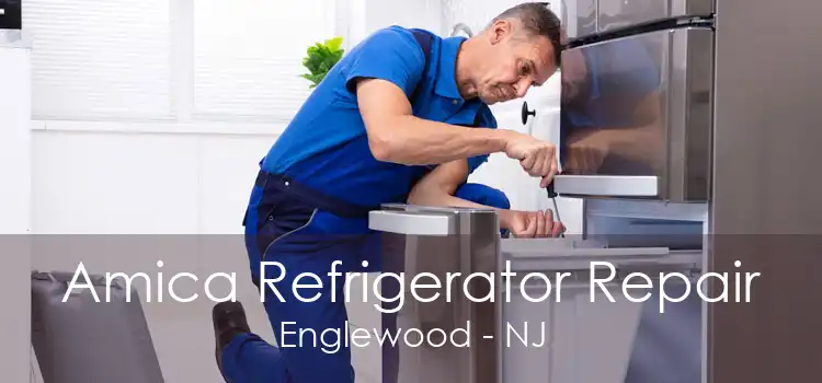 Amica Refrigerator Repair Englewood - NJ