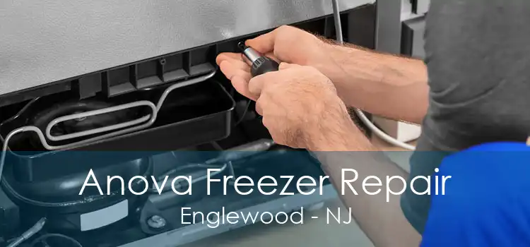 Anova Freezer Repair Englewood - NJ