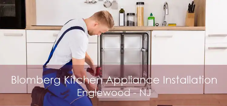 Blomberg Kitchen Appliance Installation Englewood - NJ