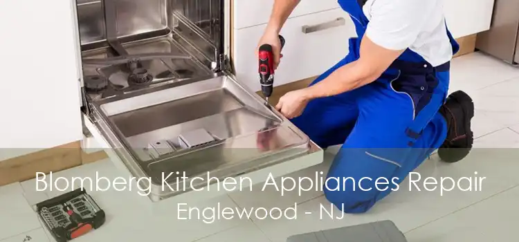 Blomberg Kitchen Appliances Repair Englewood - NJ