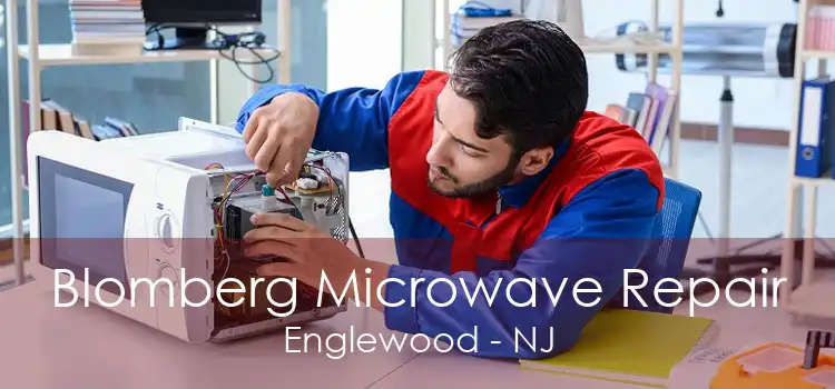 Blomberg Microwave Repair Englewood - NJ