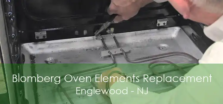 Blomberg Oven Elements Replacement Englewood - NJ