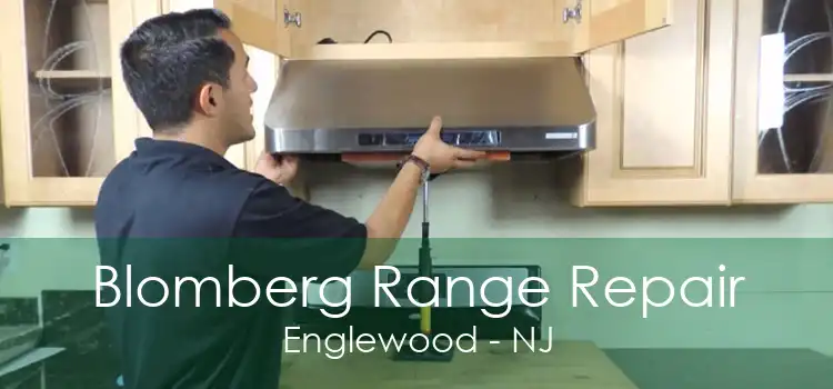 Blomberg Range Repair Englewood - NJ