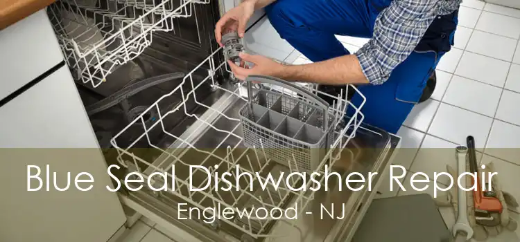 Blue Seal Dishwasher Repair Englewood - NJ