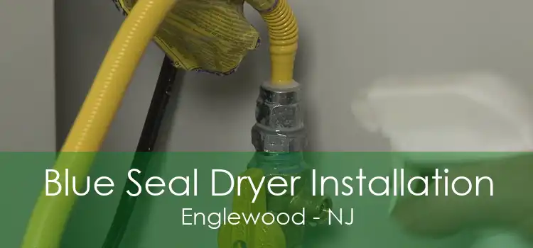 Blue Seal Dryer Installation Englewood - NJ