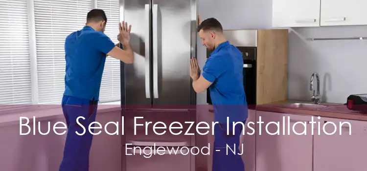 Blue Seal Freezer Installation Englewood - NJ