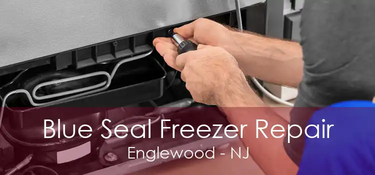 Blue Seal Freezer Repair Englewood - NJ