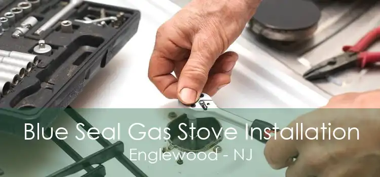 Blue Seal Gas Stove Installation Englewood - NJ