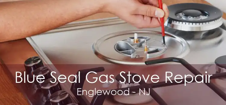 Blue Seal Gas Stove Repair Englewood - NJ