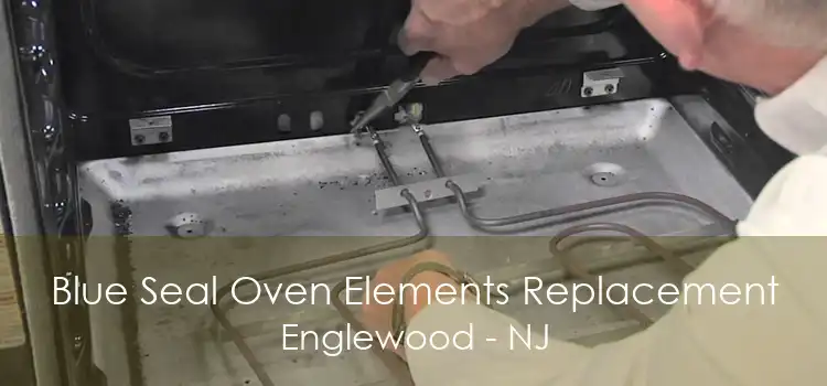 Blue Seal Oven Elements Replacement Englewood - NJ