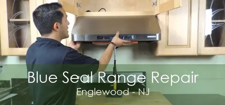 Blue Seal Range Repair Englewood - NJ