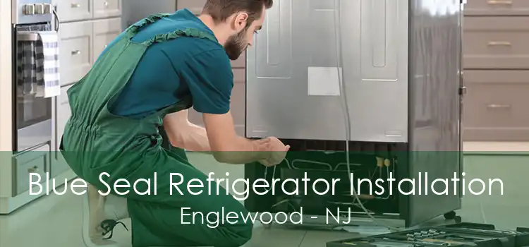 Blue Seal Refrigerator Installation Englewood - NJ