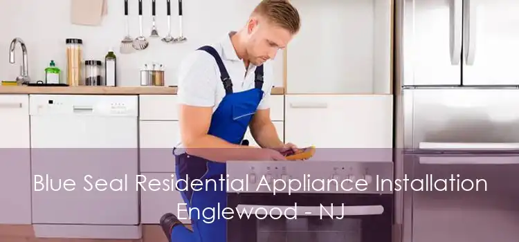 Blue Seal Residential Appliance Installation Englewood - NJ