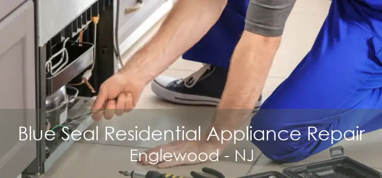 Blue Seal Residential Appliance Repair Englewood - NJ