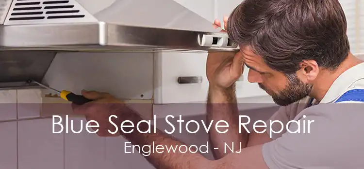 Blue Seal Stove Repair Englewood - NJ