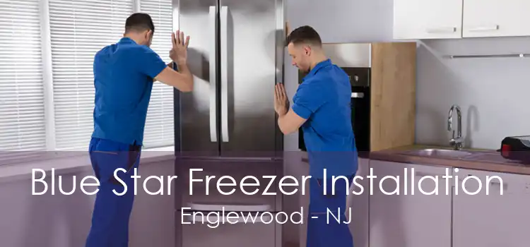 Blue Star Freezer Installation Englewood - NJ