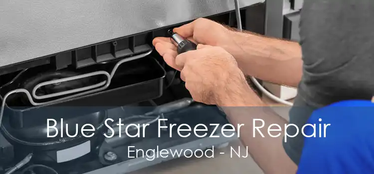 Blue Star Freezer Repair Englewood - NJ