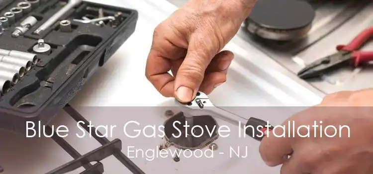 Blue Star Gas Stove Installation Englewood - NJ