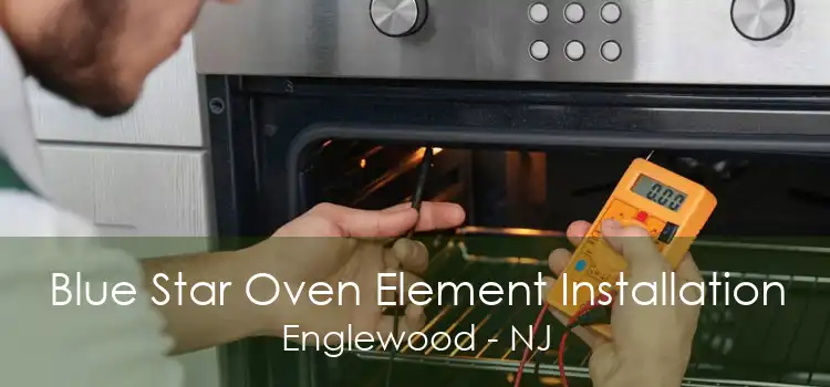 Blue Star Oven Element Installation Englewood - NJ