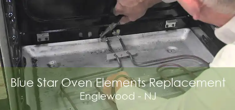 Blue Star Oven Elements Replacement Englewood - NJ