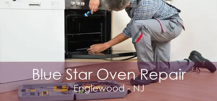 Blue Star Oven Repair Englewood - NJ