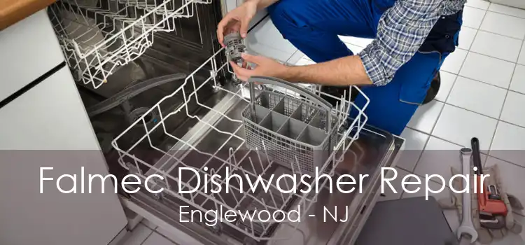 Falmec Dishwasher Repair Englewood - NJ