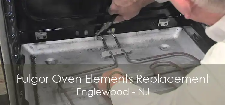 Fulgor Oven Elements Replacement Englewood - NJ