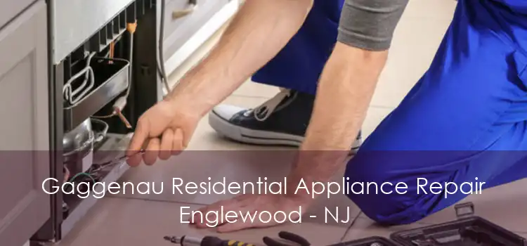 Gaggenau Residential Appliance Repair Englewood - NJ