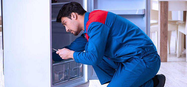 Freezer Repair Services in Englewood, New Jersey