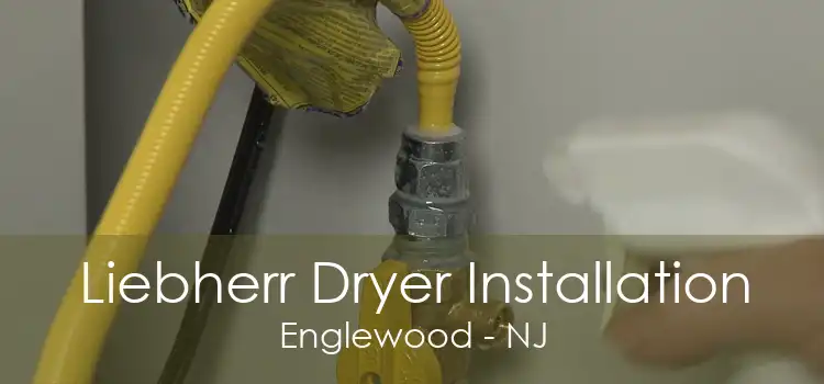 Liebherr Dryer Installation Englewood - NJ