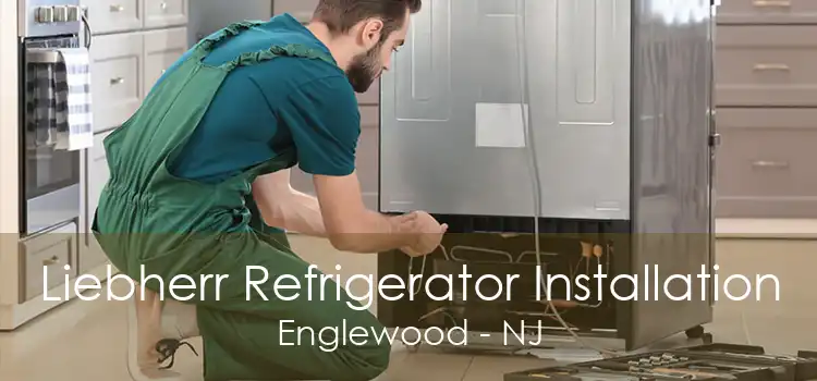 Liebherr Refrigerator Installation Englewood - NJ