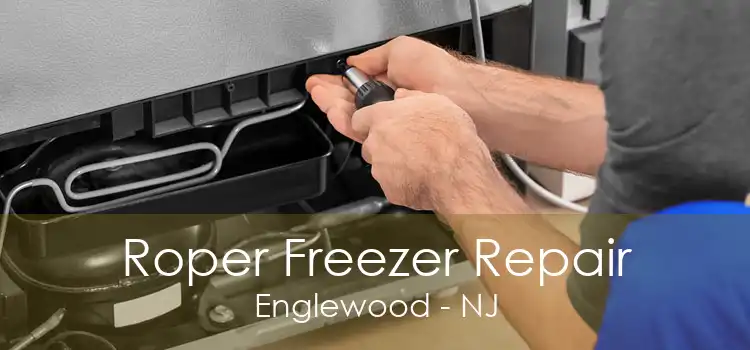 Roper Freezer Repair Englewood - NJ