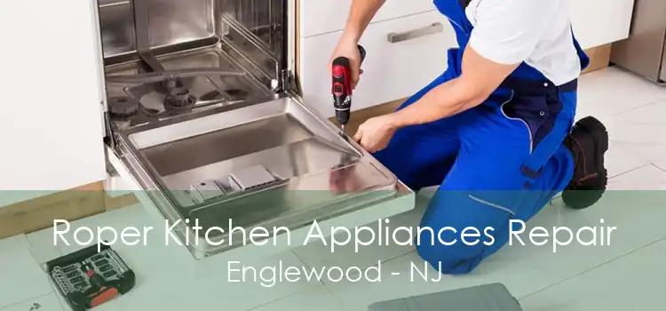 Roper Kitchen Appliances Repair Englewood - NJ